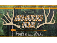 Big Bucks Plus